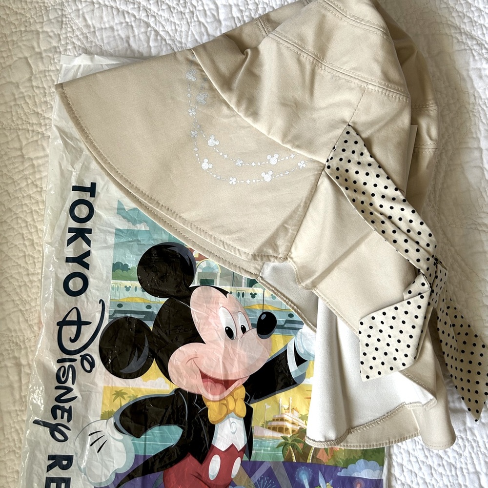 Disney hat / wide rim sun hat from Tokyo Disney resort